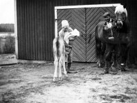 Imppilan perhe 1962  Vuokko, Matti ja Antero Salminen. Hevoset Tuija ja Hely-varsa.